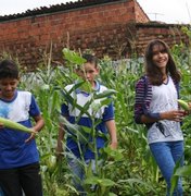 Plantio da Escola Estadual Teotônio Vilela garante novas oportunidades sociais