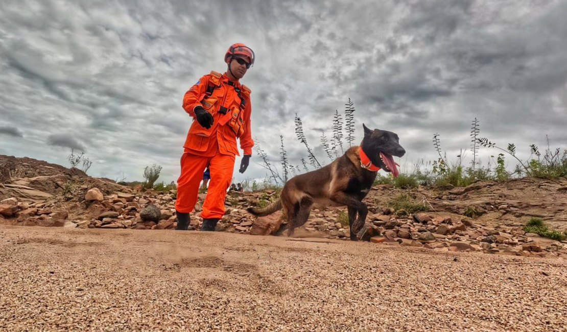 Cão farejador auxilia buscas por homem desaparecido após fortes chuvas em Piranhas