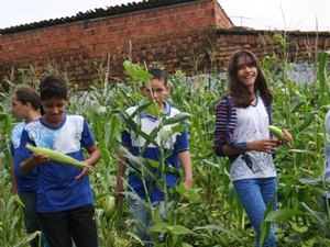 Plantio da Escola Estadual Teotônio Vilela garante novas oportunidades sociais