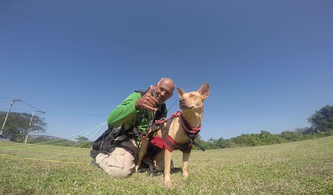 Instrutor de voo livre salta de parapente com vira-lata para chamar a atenção sobre animais abandonados