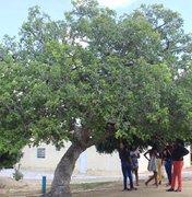 Decreto presidencial destina área para território quilombola em Alagoas