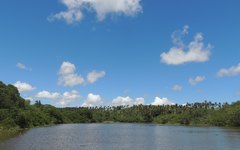 O Rio Manguaba embeleza a região da Costa do Corais de Alagoas e liga os municípios de Porto Calvo, Japaratinga e Porto de Pedras