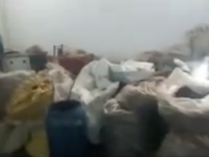 [Vídeo] Operação prende uma pessoa e apreende produtos falsificados no Agreste