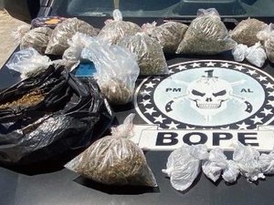 Ação da PM apreende mais de três quilos de maconha na Ponta Grossa