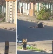 Homem de 31 anos é morto a tiros após ser abordado em barbearia em Maceió