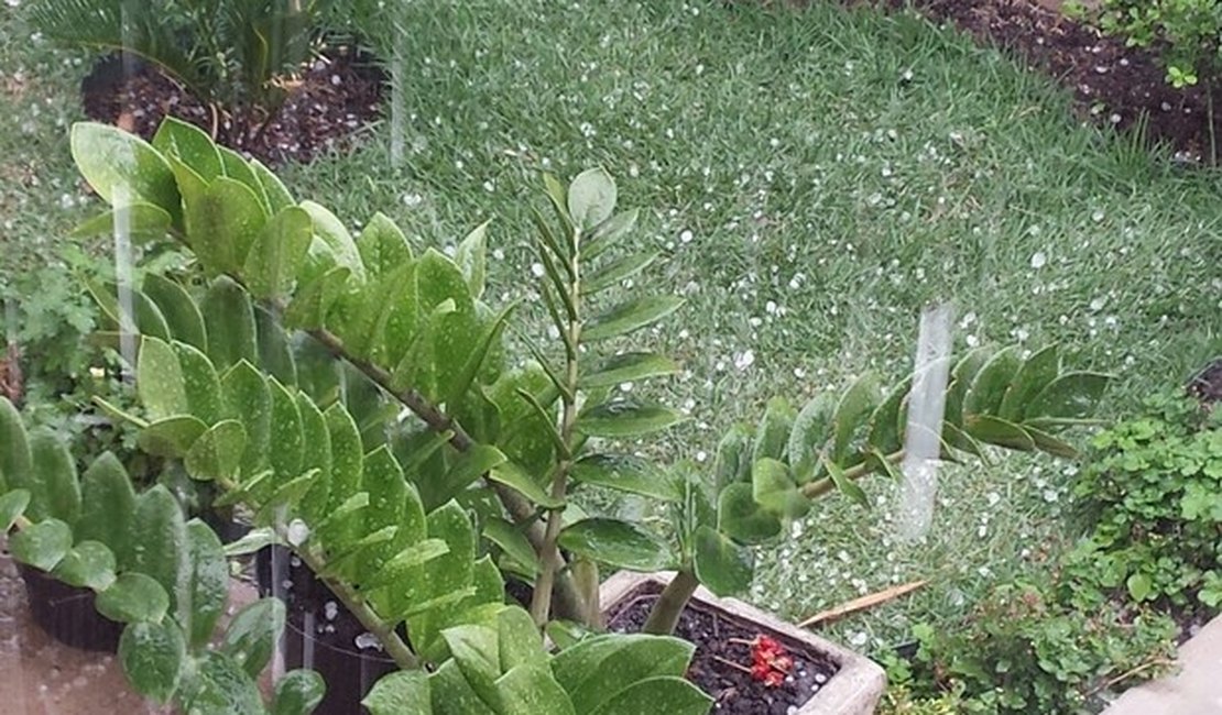 Chuva de granizo é registrada no Ceará