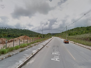 Árvore cai em pista e deixa trânsito lento na Av. Pierre Chalita