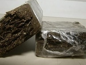 Jovem é preso com mais de 12k maconha em Maceió, após denúncia