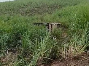Caminhão coletor de lixo tomba às margens da rodovia AL-105 em Porto Calvo