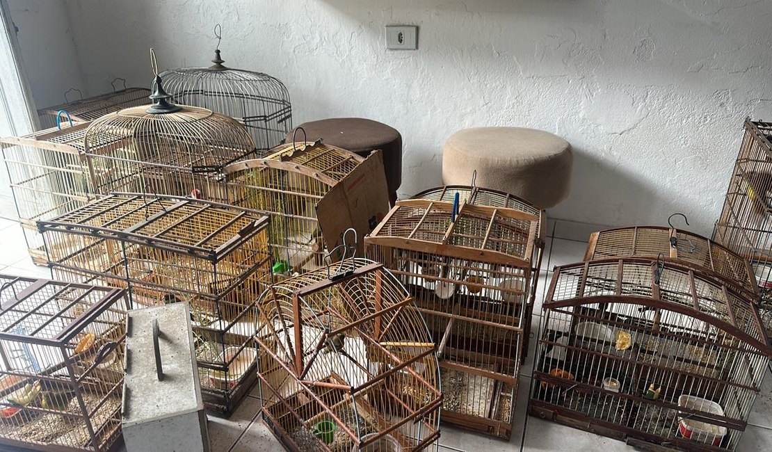 Polícia resgata 73 aves silvestres durante Operação Onda Verde em Alagoas