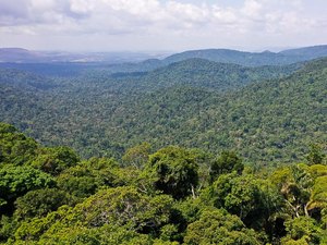 Lula cobra ajuda de países por preservação ambiental