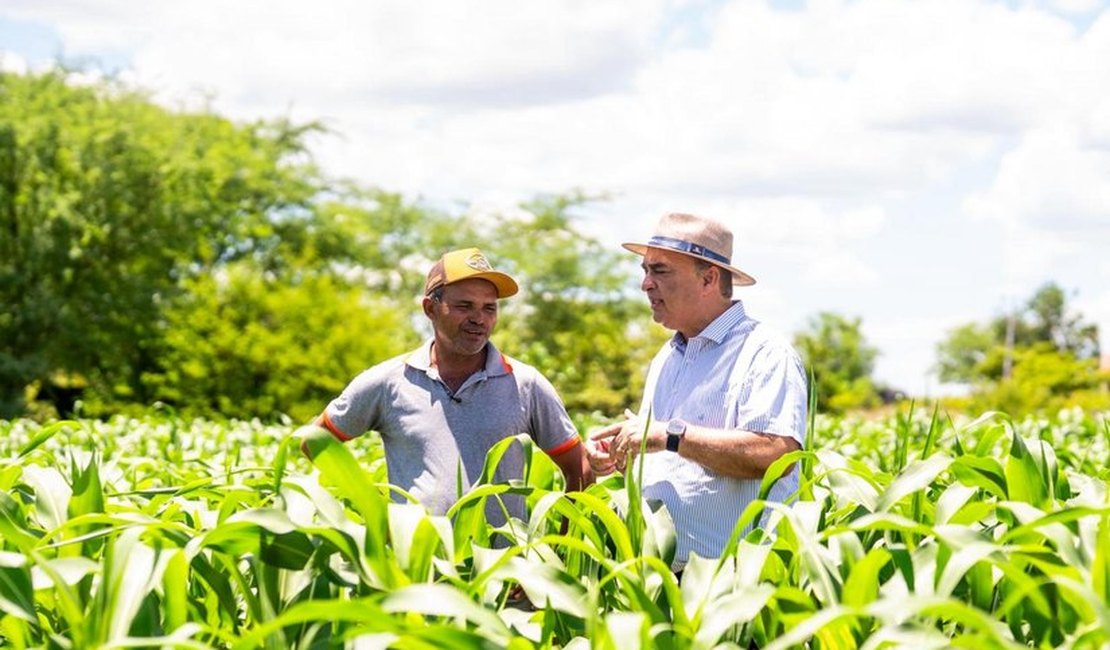 Garantia Safra beneficiará 587 agricultores de Palmeira com mais de R$ 700 mil
