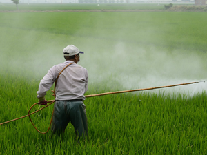 Pulverização de agrotóxicos em Alagoas é tema de debate entre TJ/AL e CREA