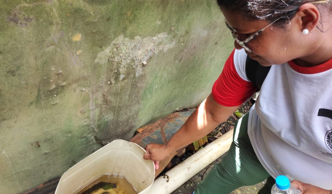 Em Penedo: mutirão de combate à dengue elimina focos do mosquito no Barro Vermelho
