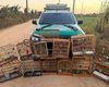 Polícia apreende duas armas e resgata 59 animais silvestres em Alagoas