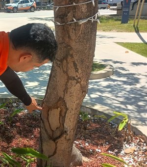 Mais 10 mil m² de espaços arborizados serão vistoriados pela Defesa Civil de Maceió
