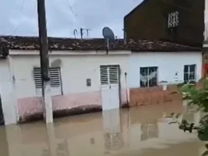 [Vídeo] Rio transborda e invade residências em São Miguel dos Campos