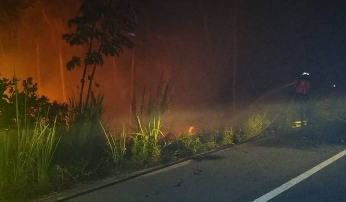 Incêndio atinge área perto de resort de luxo em Maragogi