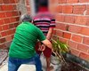 Homem é preso em Mata Grande após 11 anos foragido por homicídio do cunhado