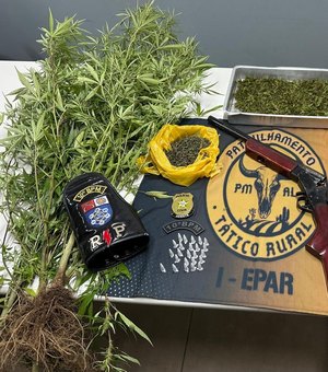 Ação policial flagra pequena plantação de maconha no município de Igaci