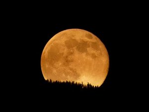 Última superlua de 2025 tem ápice hoje; saiba qual é o melhor horário para apreciar