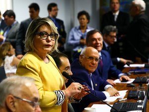 Mato Grosso será o único estado a escolher um senador