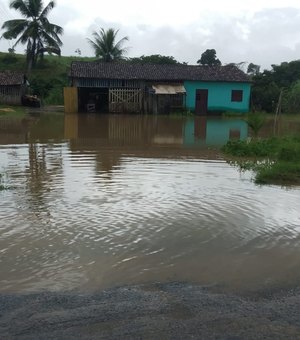 [Vídeo] Devido às chuvas moradores de Jacuípe tentam salvar animais