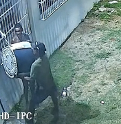 Polícia divulga imagens de suspeitos de furtar equipamentos de escola em Ponta Grossa