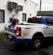 [Vídeo] Homem que roubou moto no bairro São Luiz é detido pela Guarda Municipal de Arapiraca