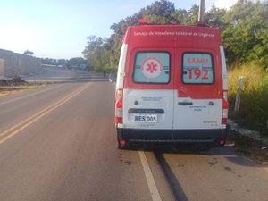 Acidente entre motocicleta e animal deixa um ferido na rodovia AL 110