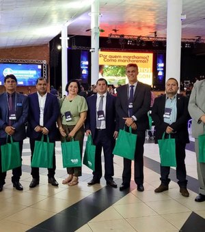 Comissão de vereadores palmeirenses participa da Marcha em Brasília