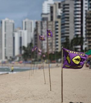 'Esse lugar vai virar fenômeno': ataques de tubarão atraem turistas em PE