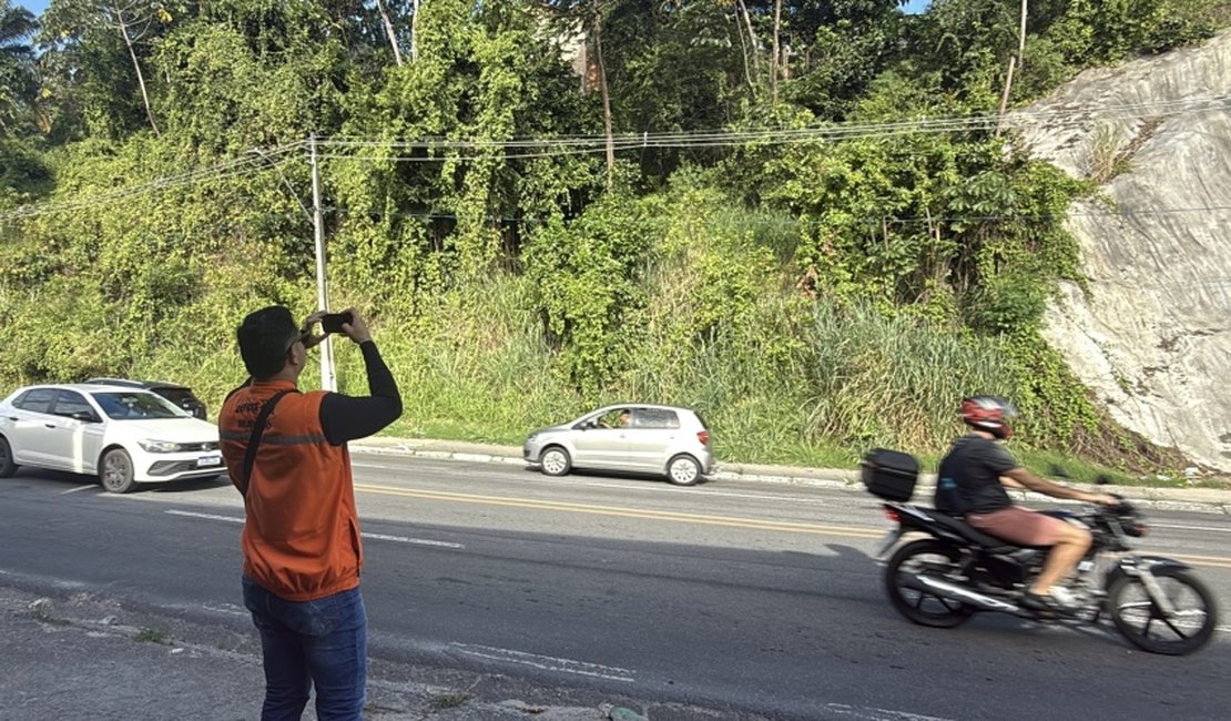 Defesa Civil de Maceió recomenda retirada de árvores em áreas de risco