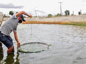 Arapiraca exporta mais de 8 toneladas de camarão nas vésperas da Semana Santa