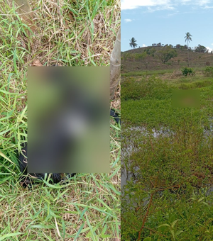 Animais são encontrados sem cabeça e em carne viva na zona rural de Maragogi