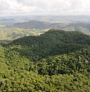 Alagoas registra queda de 68,4% no desmatamento em 2025, segundo MapBioma