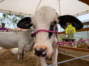 Expo Bacia Leiteira acontece entre os dias 11 a 15 de setembro, em Batalha