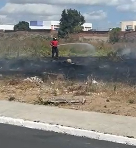 [Vídeo] Incêndio atinge terreno baldio no bairro Brasiliana, em Arapiraca