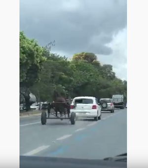 [Vídeo] Cavalo solto na Av. Durval de Góes Monteiro causa pânico entre os motoristas
