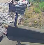 Homem é flagrado agredindo cachorro com pedaço de madeira em Arapiraca