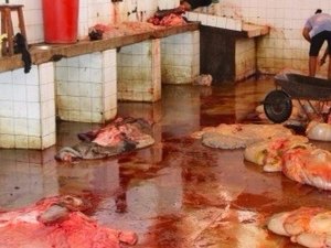 Defensoria pede interdição do matadouro de Palmeira, mas Justiça suspende ação