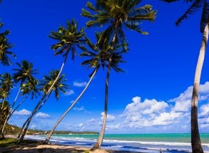 Alagoas ganha portal de Turismo