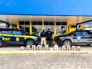 Mais de 100 kg de drogas e produtos sem nota fiscal são apreendidos em ônibus em São Sebastião