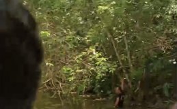 Homem morre afogado no Rio do Macaco, no município de União dos Palmares