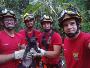 Filhote de labrador é resgatado após cair em fossa desativada 