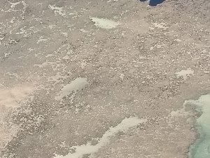 CPI do Óleo quer acesso a documentos e ouvir autoridades