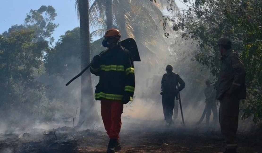 Corpo de Bombeiros registra catorze incêndios durante feriadão