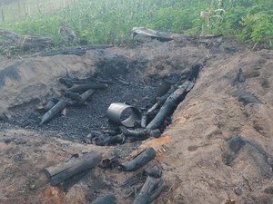 Operação resgata aves silvestres e apreende 11 armas de fogo em Alagoas
