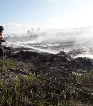 Bombeiros combatem incêndio em vegetação de Palmeira dos Índios