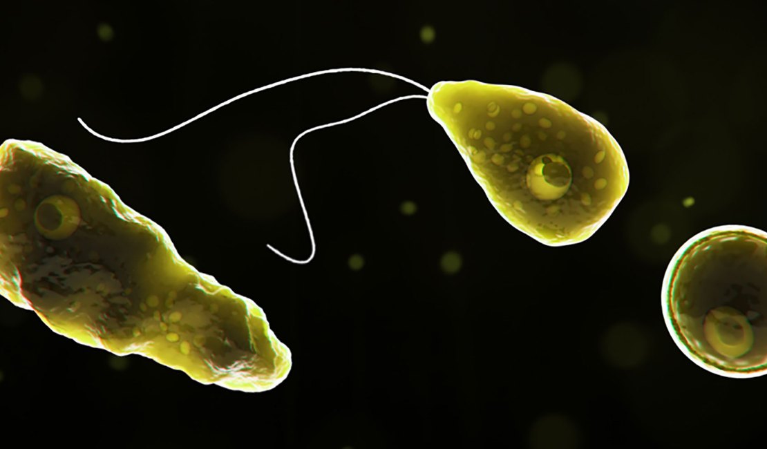 Caso raro de ameba que destrói cérebro é confirmado na Flórida
